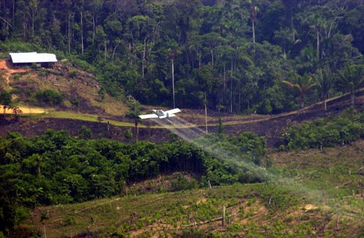 Éradication des cultures illicites, environnement et conflit armé dans la Communauté andine