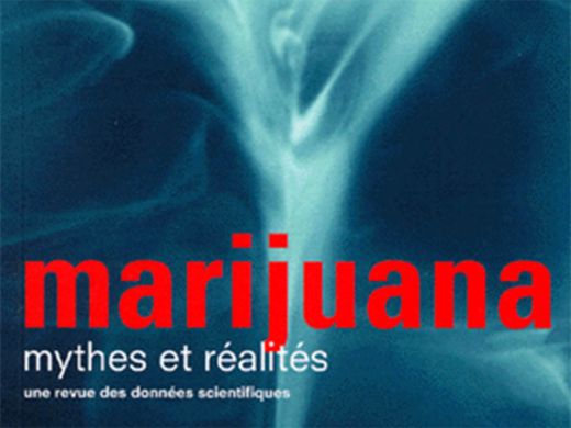 Marijuana, mythes et réalités