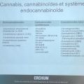 Cannabis et cannabinoïdes