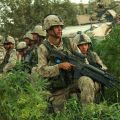 Soldats de l'OTAN dans un champ de cannabis