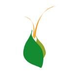 Bloc Pot's picture