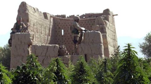 Intervention canadienne en Afghanistan