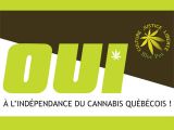 Oui à l'indépendance du cannabis québécois !